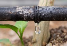 Sensor based irrigation system installed in GoaÂ