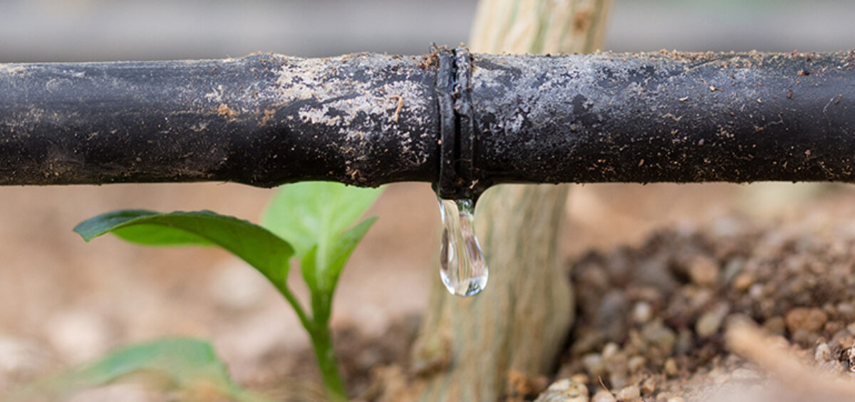 Sensor based irrigation system installed in Goa - The Environment