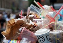 Delhi government joins hands with UNEP, Eco Clubs to raise awareness against single use plastic