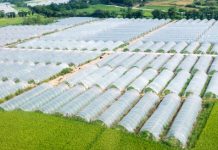 Plastics used in agriculture contaminate soil at alarming rate: UNEP