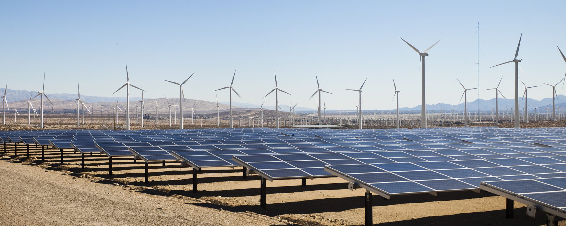 Renewable energy set to double over next five years, to overtake coal ...
