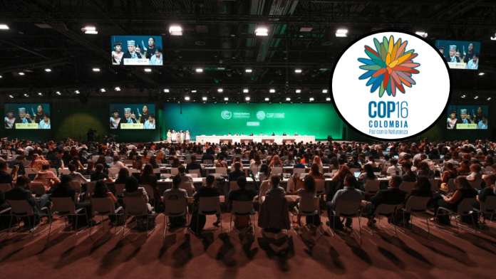 COP16