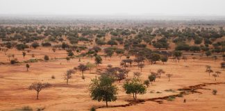 Panama to host global land and drought summit as world face escalating crisis