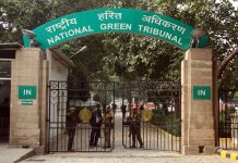 NGT fails environmental justice test: Public interest groups win none of 16 merit appeals in first half of 2026