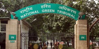 NGT fails environmental justice test: Public interest groups win none of 16 merit appeals in first half of 2026