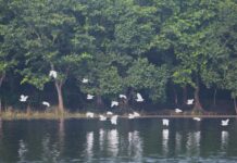 India adds two new Ramsar Sites in Bihar, boosting Wetland conservation efforts