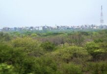 Delhi declares 41 sq km of southern ridge a reserved forest to boost green cover
