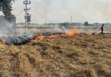 CAQM calls for urgent and coordinated actions in Punjab to curb incidents of stubble burning