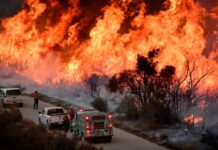 Wildfires, quakes and storms leave $224 billion trail of destruction in 2025
