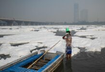 Water quaity of Yamuna deteriorate sharply; Faecal Coliform levels jump to 92,000 units in December