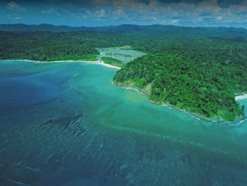 NGT upholds great Nicobar project clearance, cites strategic need while ...