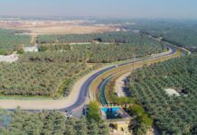 Saudi Arabia restored one million hectares of degraded land