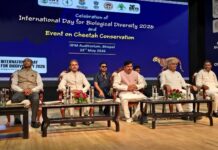 India marks Biodiversity Day 2026 with focus on local action and cheetah conservation