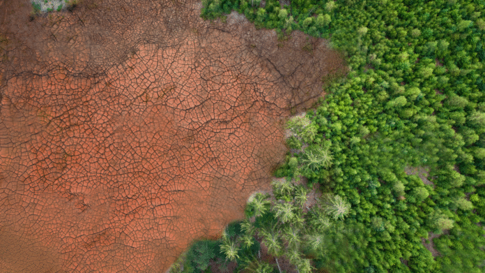Desertification