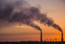 India and Japan adopt rules to advance bilateral cooperation on climate action and carbon credits