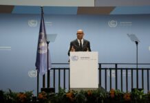 UN climate chief urges faster action as Bonn talks open ahead of COP31