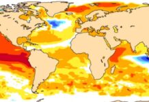 El Niño set to return in 2026, raising fears of extreme weather worldwide