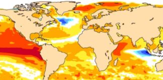 El Niño set to return in 2026, raising fears of extreme weather worldwide