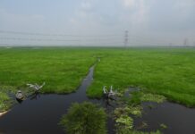 Jai Prakash Narayan Bird Sanctuary becomes 100th Ramsar site in India