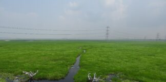 Jai Prakash Narayan Bird Sanctuary becomes 100th Ramsar site in India
