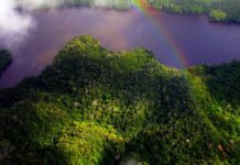 World Nature Conservation Day observe across globe today