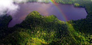 World Nature Conservation Day observe across globe today