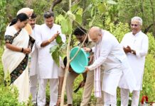 Delhi to develop 6,300 hectares of Ridge area into forest land in four years