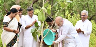 Delhi to develop 6,300 hectares of Ridge area into forest land in four years