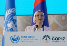 COP17: UN land conference begins in Mongolia to accelerate global action on restoration