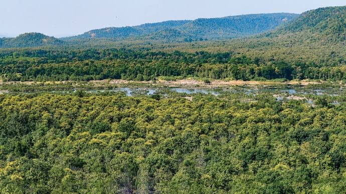 Forest cover