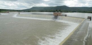 Ken-Betwa only priority river-link project to enter implementation stage: Centre
