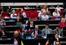 India calls for stronger global action to protect whales