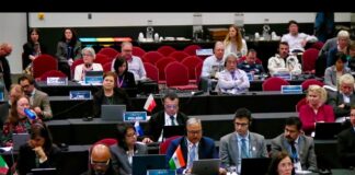 India calls for stronger global action to protect whales
