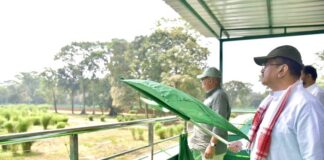 Tiger reintroduction begins in Buxa Tiger Reserve with release of tigress